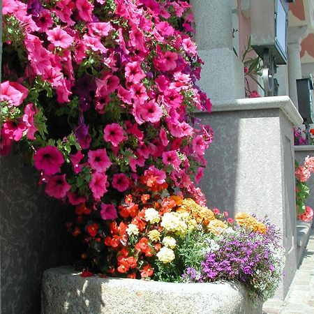 Hotel Sammer Neufelden ภายนอก รูปภาพ
