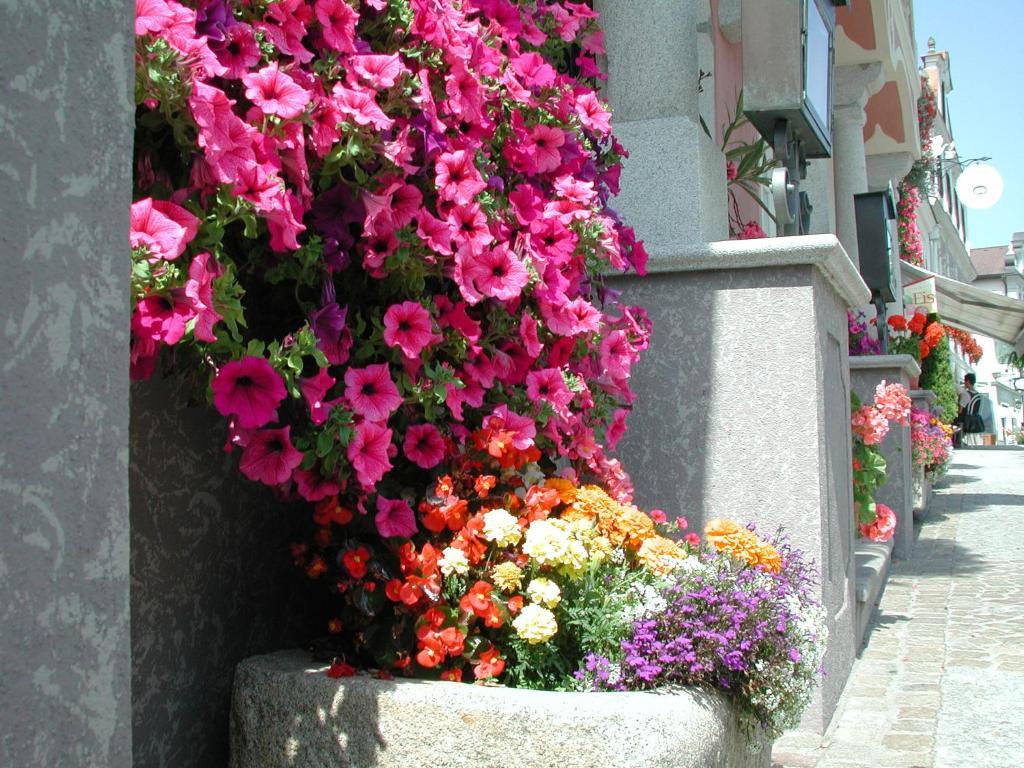 Hotel Sammer Neufelden ภายนอก รูปภาพ